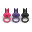 (image for) Rabbit Love Ring
