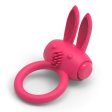 (image for) Rabbit Love Ring