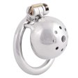 (image for) Solitary Plus Extreme Confinement Cage