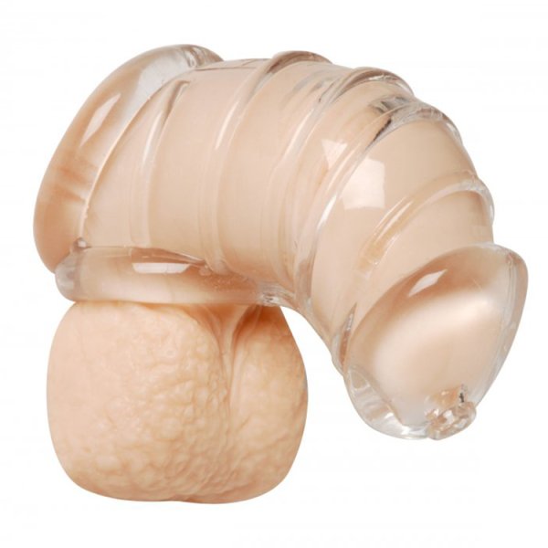 (image for) Detained Soft Body Chastity Cage