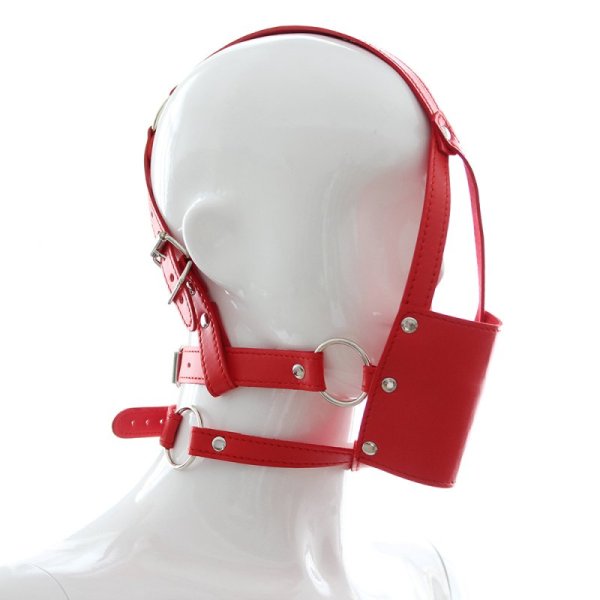 (image for) Cross Strap Panel Ball Gag Trainer