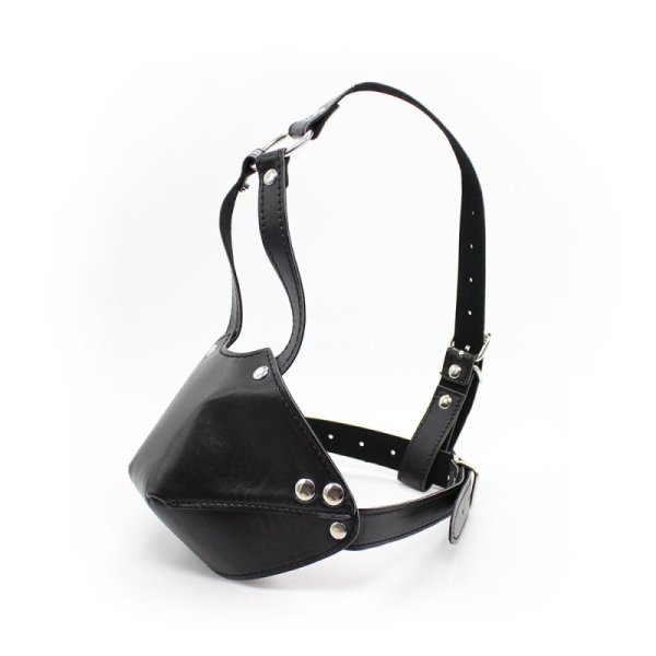 (image for) Leather Harness With Rubber Gag