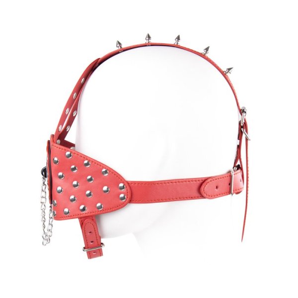 (image for) Nails Harness Gag with Cover