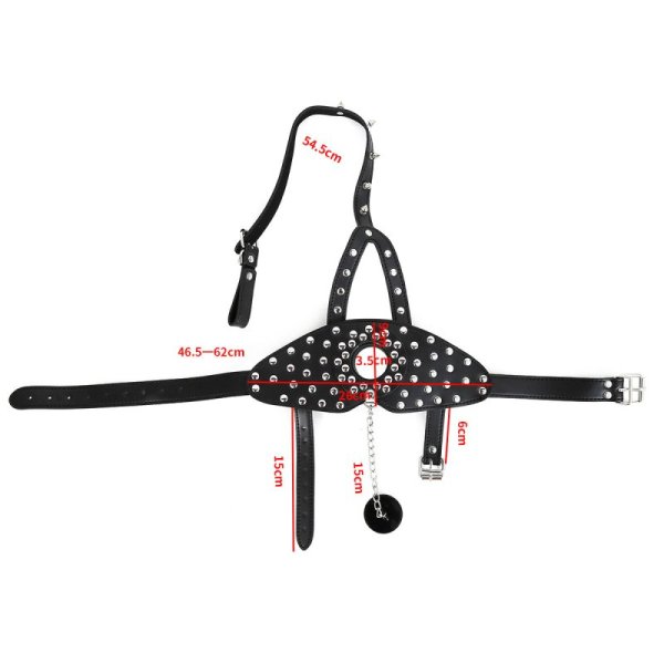 (image for) Nails Harness Gag with Cover