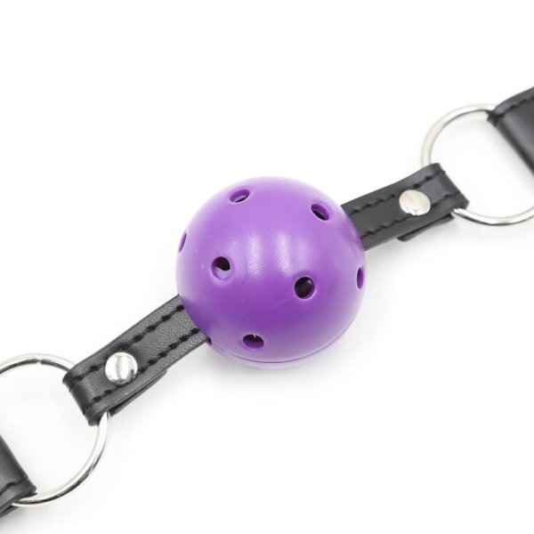 (image for) Pin Buckle Breathable O Ring Double Color Ball Gag