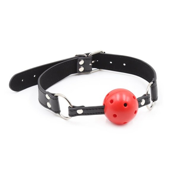 (image for) Pin Buckle Breathable O Ring Double Color Ball Gag