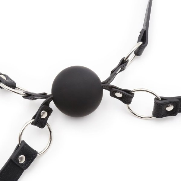 (image for) Double Mouth Gag