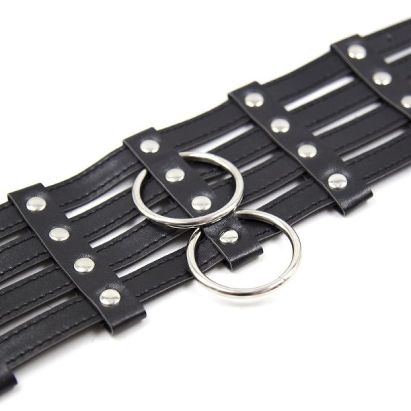 (image for) 2 O-Ring 4 Strip 4 Buckle Collar