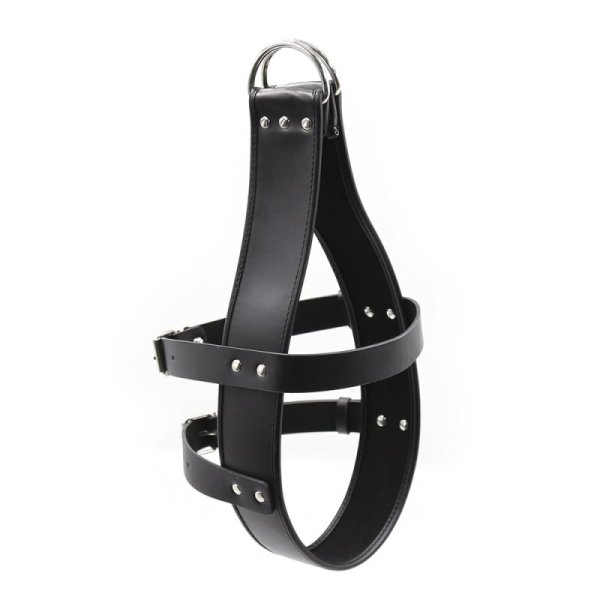 (image for) Head Immobilization Harness