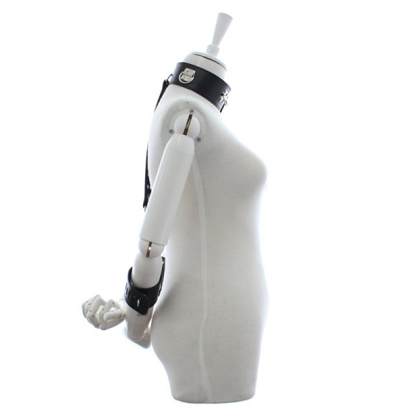 (image for) Neck and Wrist Restraints - Adjustable And Locking