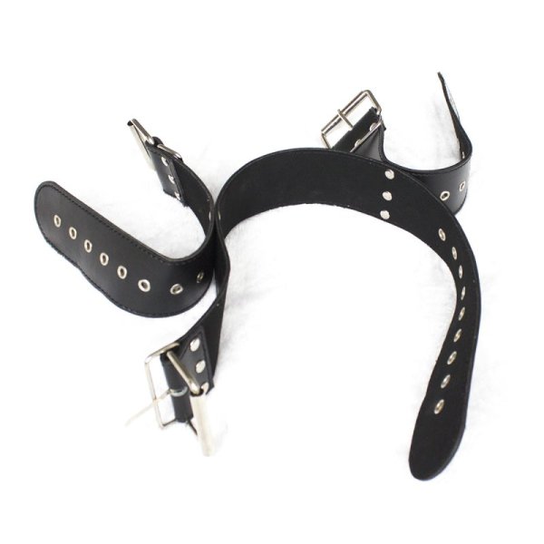 (image for) Wrist to Neck Locking Restraint