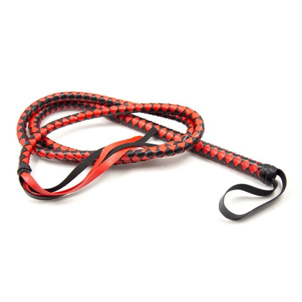(image for) The Master Whip