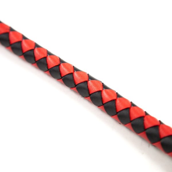 (image for) The Master Whip