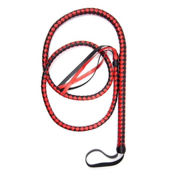 (image for) The Master Whip