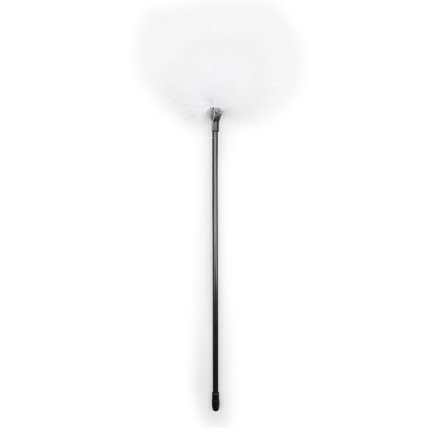 (image for) Playful Tickler- 42 cm