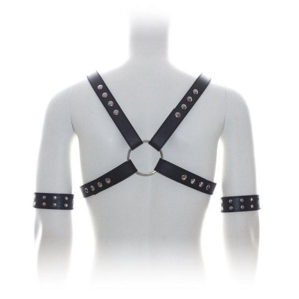(image for) Male Chest Harness With Arm Cuffs