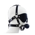 (image for) Harness Ball Gag With Blinder