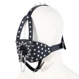 (image for) Nails Harness Gag with Cover