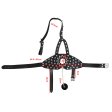 (image for) Nails Harness Gag with Cover