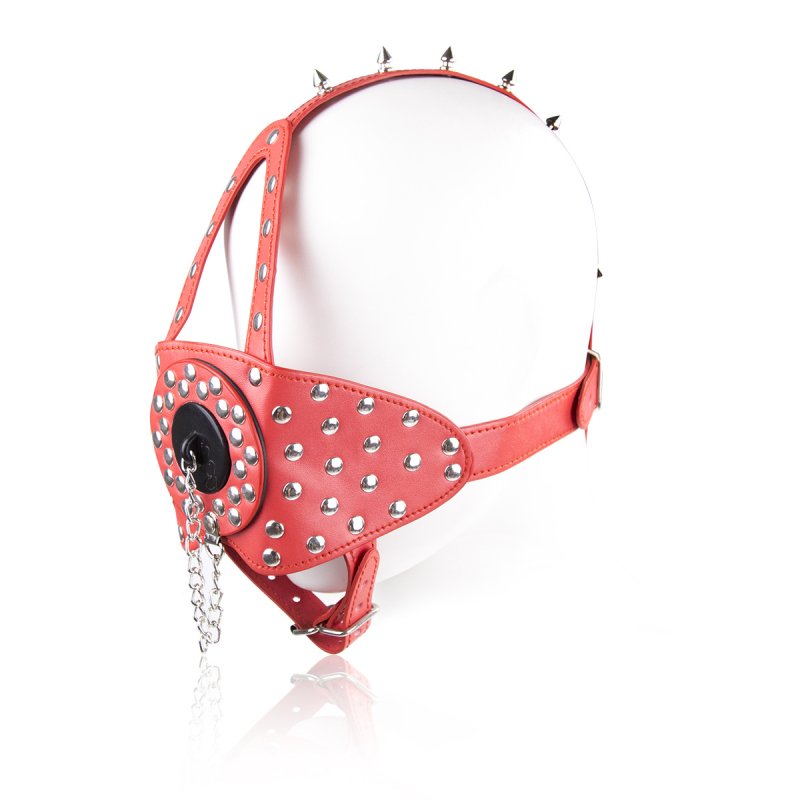 (image for) Nails Harness Gag with Cover