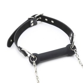 Bit Gag With Collars Leads