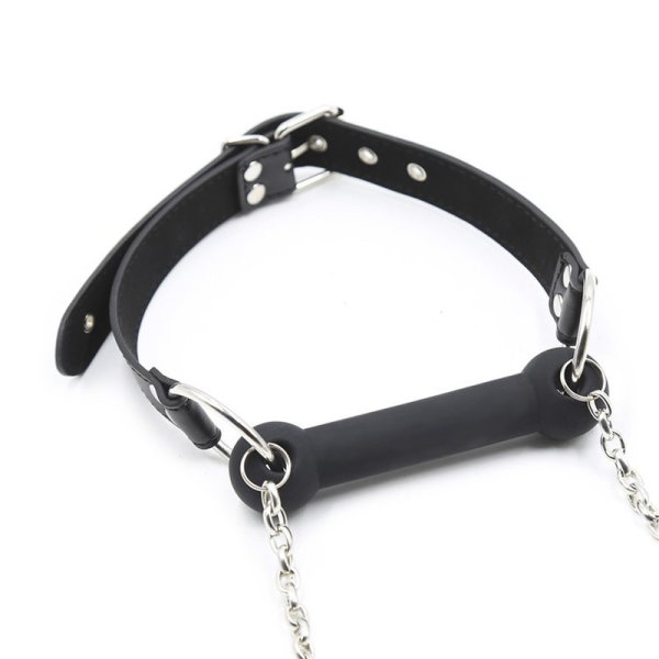 (image for) Bit Gag With Collars Leads