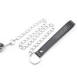(image for) Bit Gag With Collars Leads