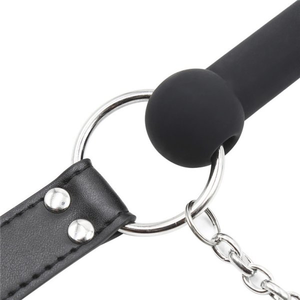 (image for) Bit Gag With Collars Leads