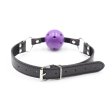 (image for) Pin Buckle Breathable O Ring Double Color Ball Gag