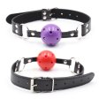 (image for) Pin Buckle Breathable O Ring Double Color Ball Gag
