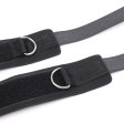 (image for) Ball Gag and Wrist Restraint System