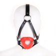 (image for) Lips Gag With Heard Harness