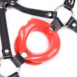 (image for) Lips Gag With Heard Harness