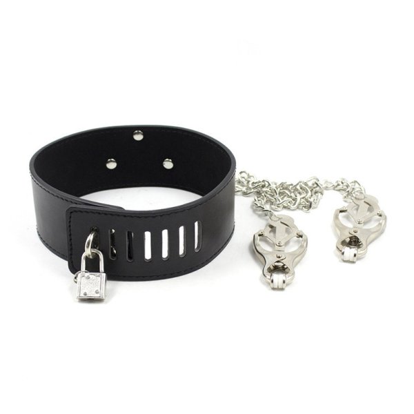 (image for) Neck Collar With Japanese Clover Clamps
