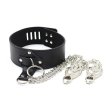 (image for) Neck Collar With Japanese Clover Clamps