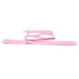 (image for) Fur Lined Collar with Leash