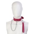 (image for) Fur Lined Collar with Leash