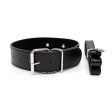 (image for) Fur Lined Collar with Leash