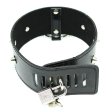 (image for) Posture Collar Steel Spiked With Diamond