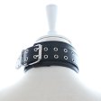 (image for) Double Pins Buckle Collar with One D-Ring