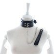 (image for) Double Pins Buckle Collar with One D-Ring