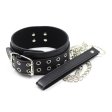 (image for) Double Pins Buckle Collar with One D-Ring