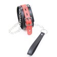 (image for) Flirt Lead Leash Collar