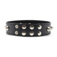 (image for) Spikes Bondage And Fetish Collar