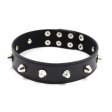 (image for) Spikes Bondage And Fetish Collar