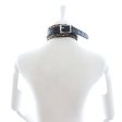 (image for) Leopard Bondage Collar