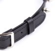 (image for) Spike Pin Buckle Collar