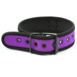 (image for) Bondage Collor (No Lead)