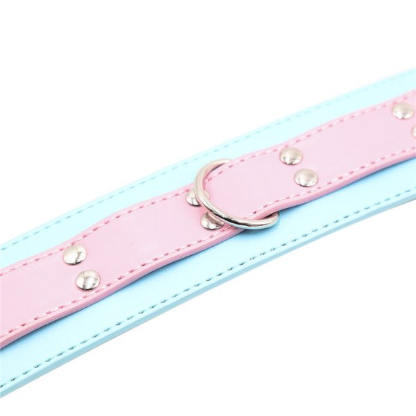 (image for) Blue & Pink Collars with Lead