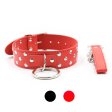 (image for) Nail Bondage Collar